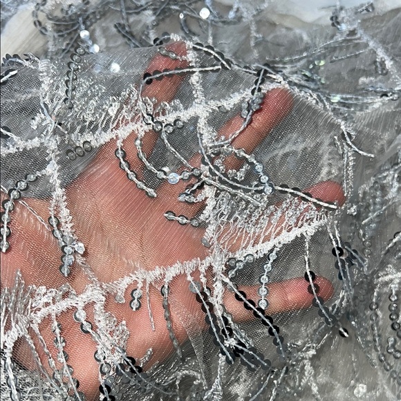 Silver Sequin Fringe Dress - Picture 8 of 8